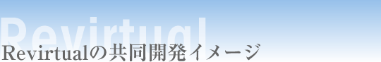 Revirtual�̋����J���C���[�W