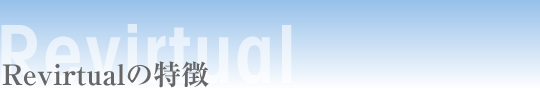Revirtual�̓���